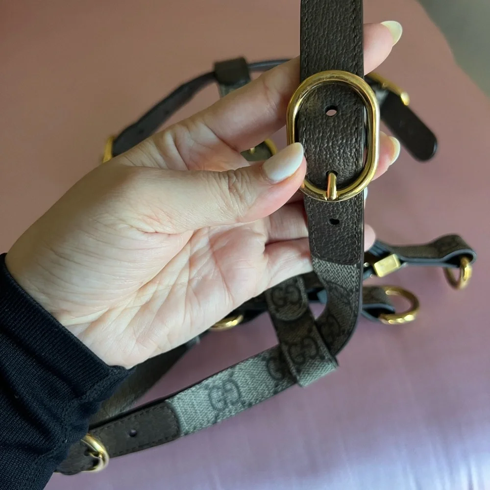 Gucci Dog Harness